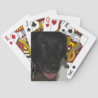 Cartes à jouer Black Lab