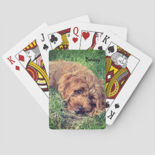Cartes à jouer Bonesy