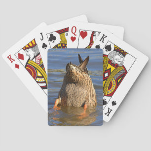 Cartes à jouer Bottoms Up