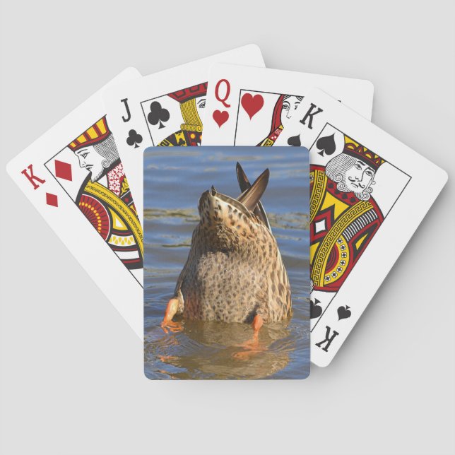 Cartes à jouer Bottoms Up (dos)