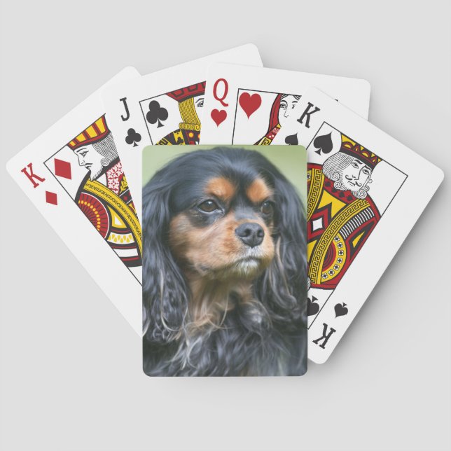 Cartes à jouer Cavalier King Charles Spaniel noir  (dos)