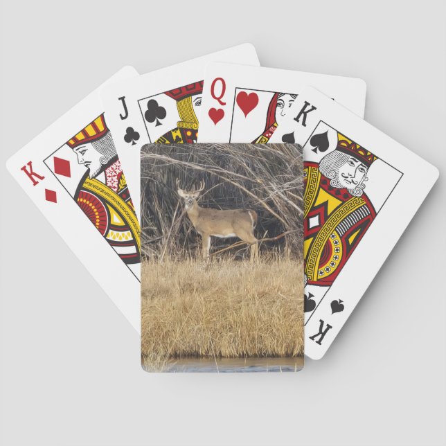 Cartes à jouer Cerfs dans le fourré (dos)