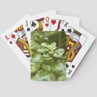 Cartes à jouer classiques