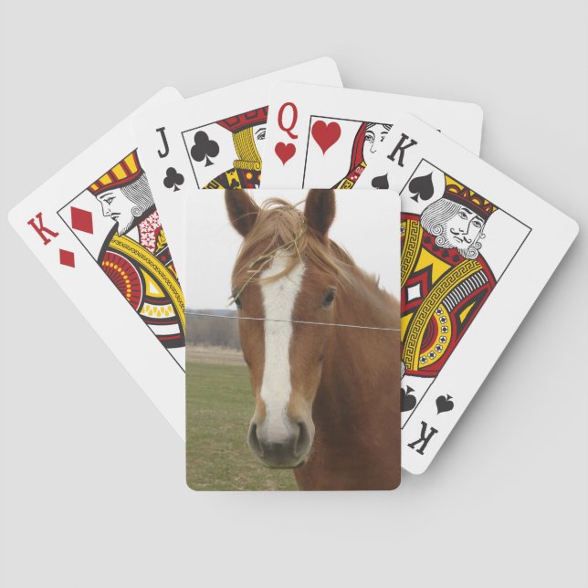 Cartes à jouer de cheval (dos)