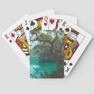 Cartes à jouer du lagon de la jungle émeraude