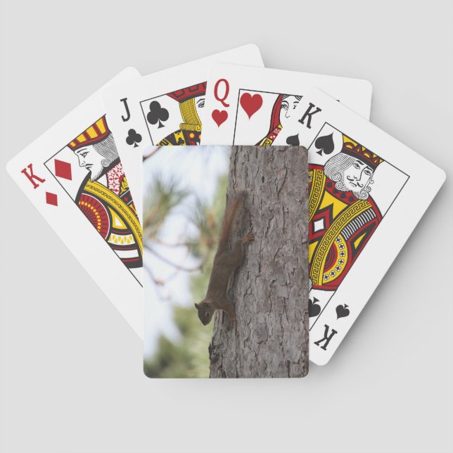 Cartes à jouer Écureuil à l'envers (dos)
