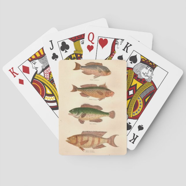 Cartes à jouer FourFish (dos)