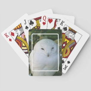 Cartes à jouer Harfang des neiges