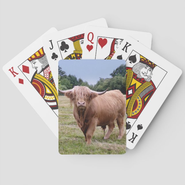 Cartes à jouer Highland Cow (dos)