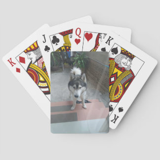 Cartes à jouer Husky Dog Classic