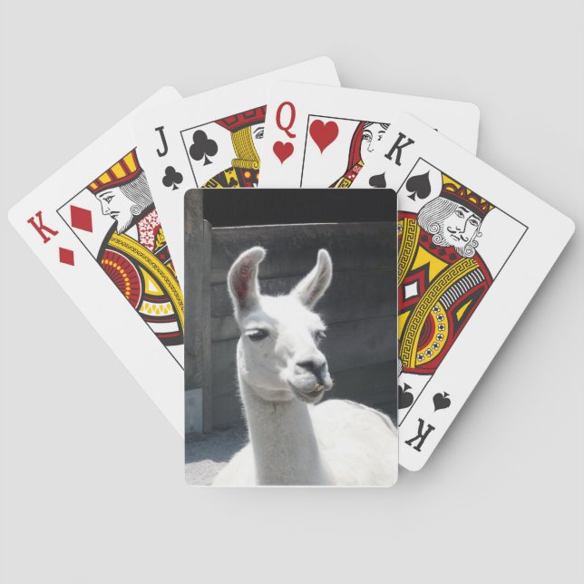 Cartes à jouer Llama Sourire (dos)