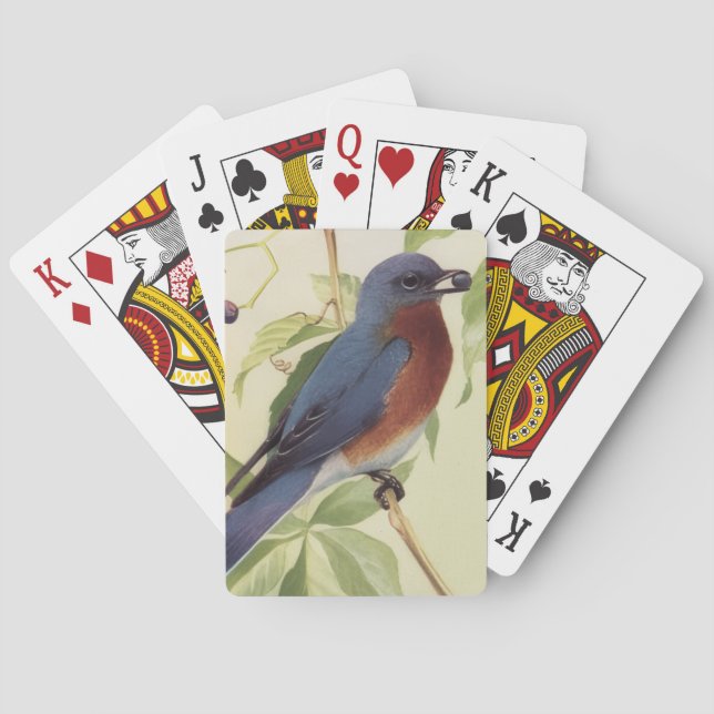 Cartes à jouer oiseaux (dos)