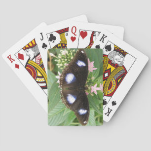 Cartes à jouer Papillon à taches bleues