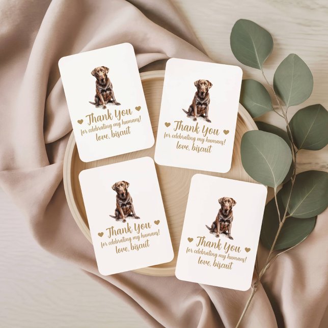 Cartes à jouer pour cadeau de mariage de chien (Créateur téléchargé)