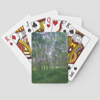 Cartes à jouer Quakies
