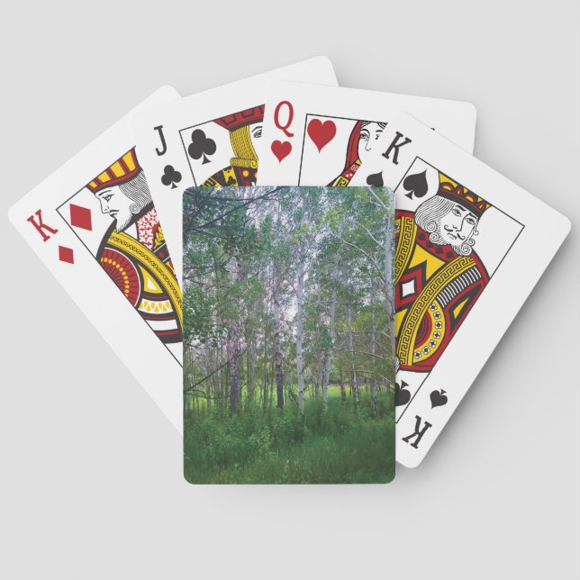 Cartes à jouer Quakies (dos)