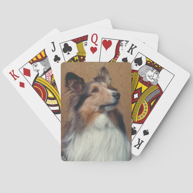 Cartes à jouer Shetland Sheepdog (dos)