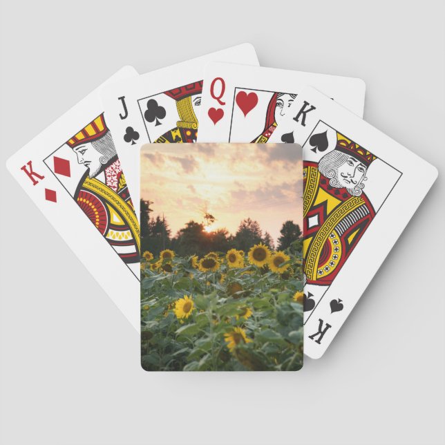 Cartes à jouer Tournesol (dos)