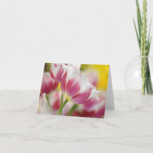 Cartes à notes florales Tulip