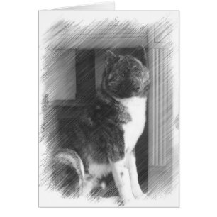 Cartes Akita