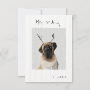 Cartes bizarres pour les proches