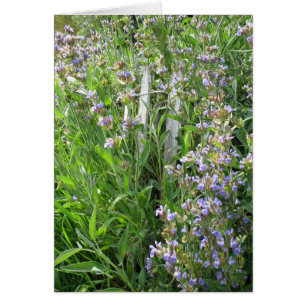 Cartes bleues à fleurs