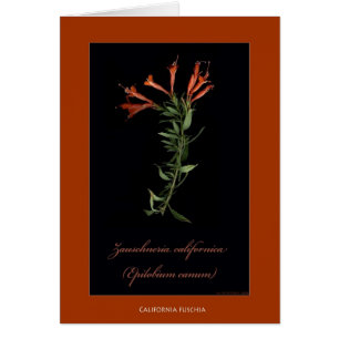 Cartes botaniques d'impression de la Californie