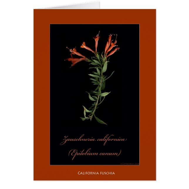 Cartes botaniques d'impression de la Californie (Devant)