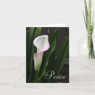 Cartes Calla Lily