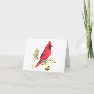 Cartes-Cardinal Homme