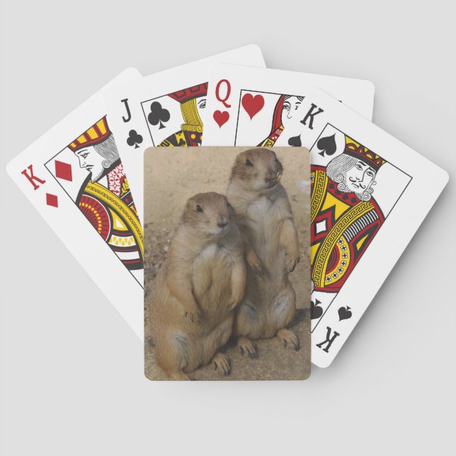 Cartes Carte de jeu de chien de prairie (dos)