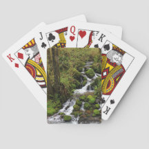 Carte de jeu de photos Waterfall