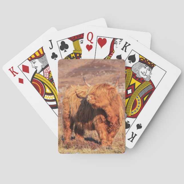 Cartes Carte de jeu Highland Cow (dos)
