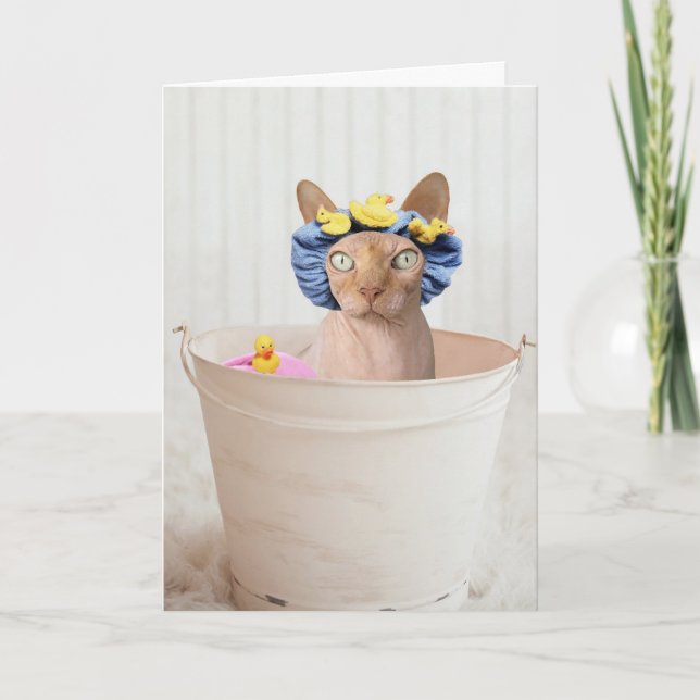 CARTES CHAT SPHYNX (SANS CHEVEUX) CHAT FUNNY (Devant)