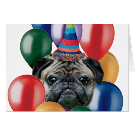  Cartes  Chien de carlin  de joyeux anniversaire  Zazzle fr