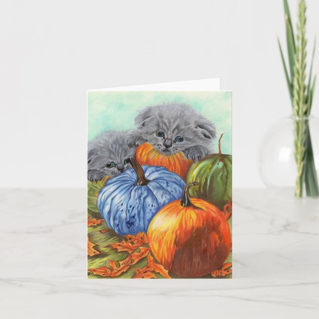 Cartes Citrouilles et Chatons (Devant)