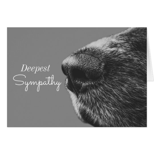 Cartes Condoléance de chien de la sympathie d