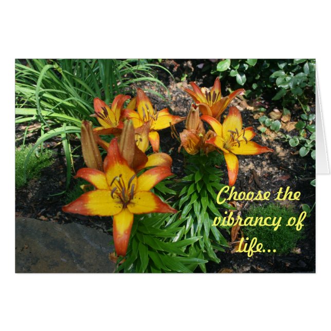 Cartes curatives (Devant horizontal)