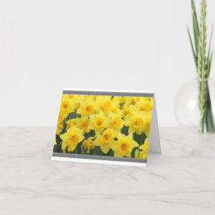 CARTES DAFFODIL