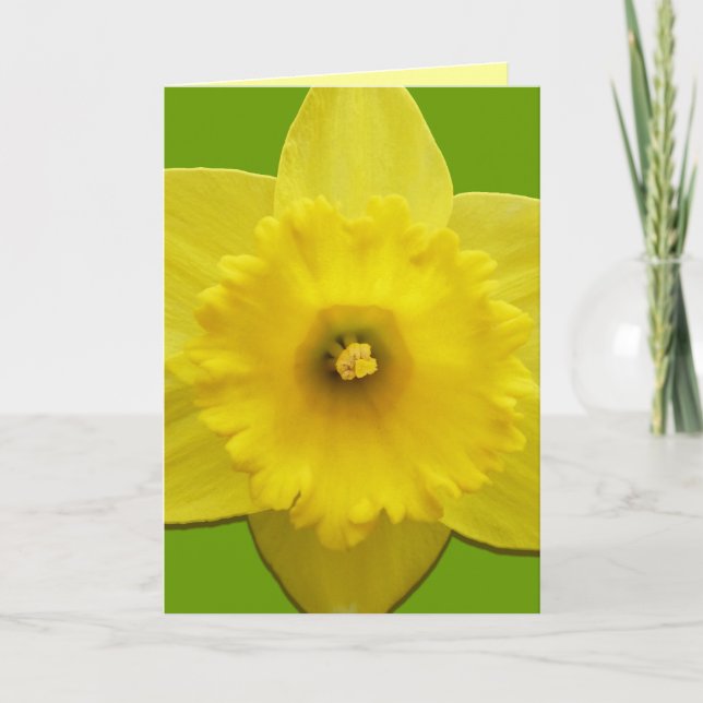 Cartes Daffodil Cartes Fleurs Daffodil Personnalis (Devant)