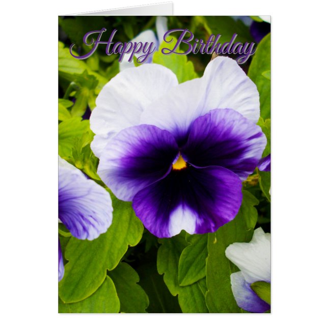 Cartes d'anniversaire aux pensées violettes et bla (Devant)