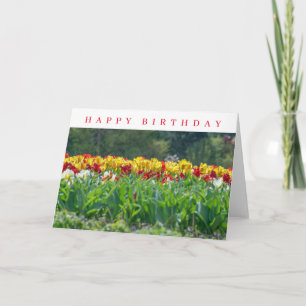 Cartes d'anniversaire avec des tulipes jaunes et r