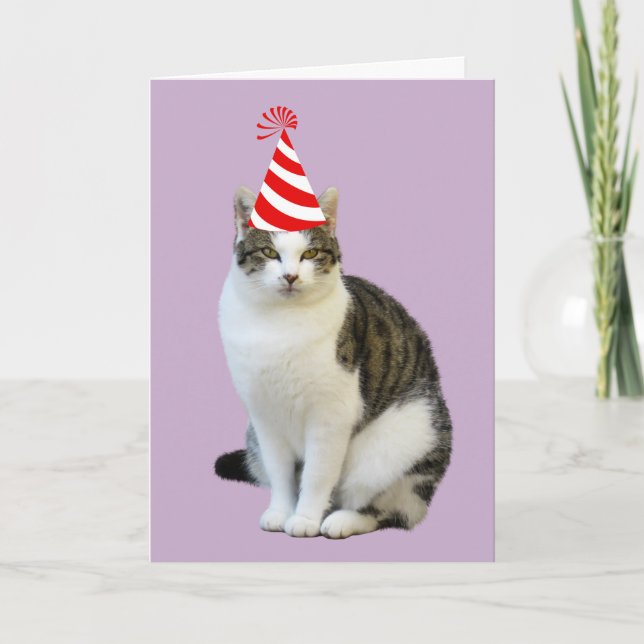 CARTES D'ANNIVERSAIRE CUTE CAT PHOTO (Devant)