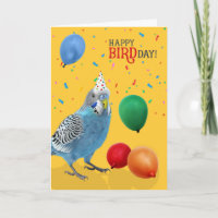 Cartes d'anniversaire drôle de perruche bleue et b