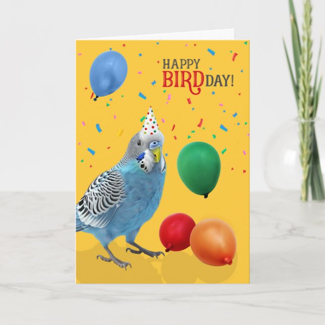 Cartes d'anniversaire drôle de perruche bleue et b (Devant)
