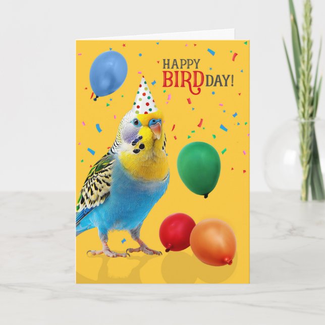 Cartes d'anniversaire drôle de perruche bleue et j (Devant)