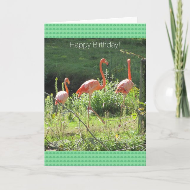 Cartes d'anniversaire Flamants roses (Devant)