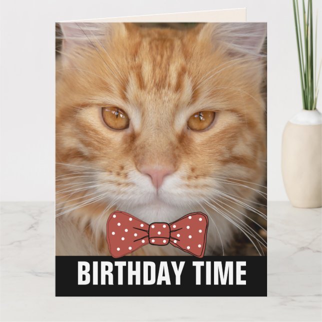 CARTES D'ANNIVERSAIRE GINGER RED CHAT (Devant)