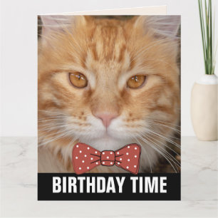 CARTES D'ANNIVERSAIRE GINGER RED CHAT