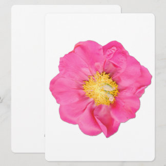 Cartes d'art botanique de la fleur de pivoine rose